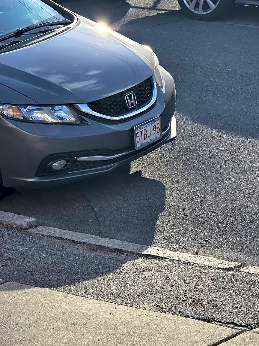 Image submitted with report