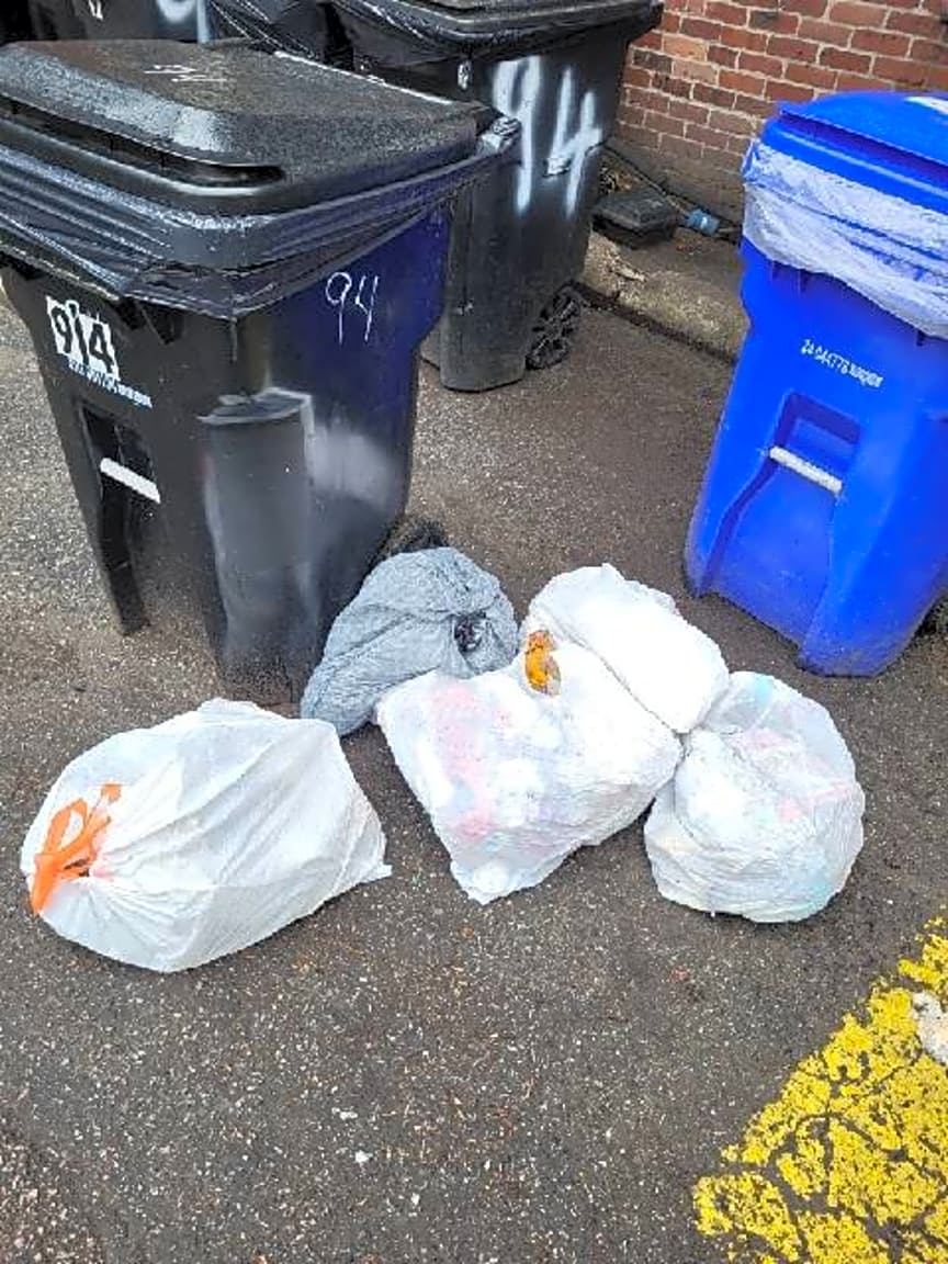 Image submitted with report