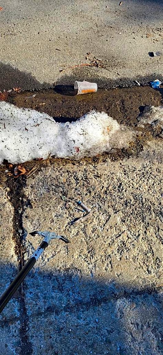 Image submitted with report