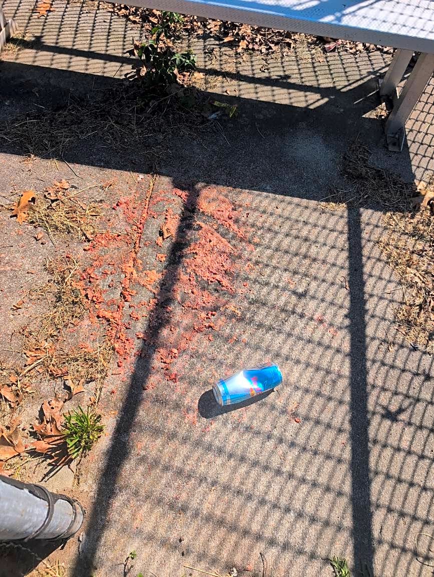 Image submitted with report