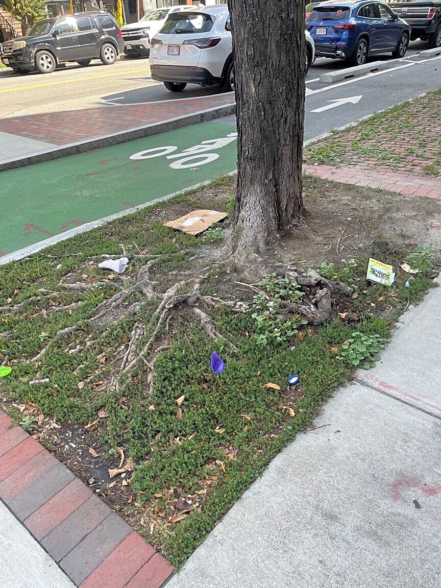 Image submitted with report