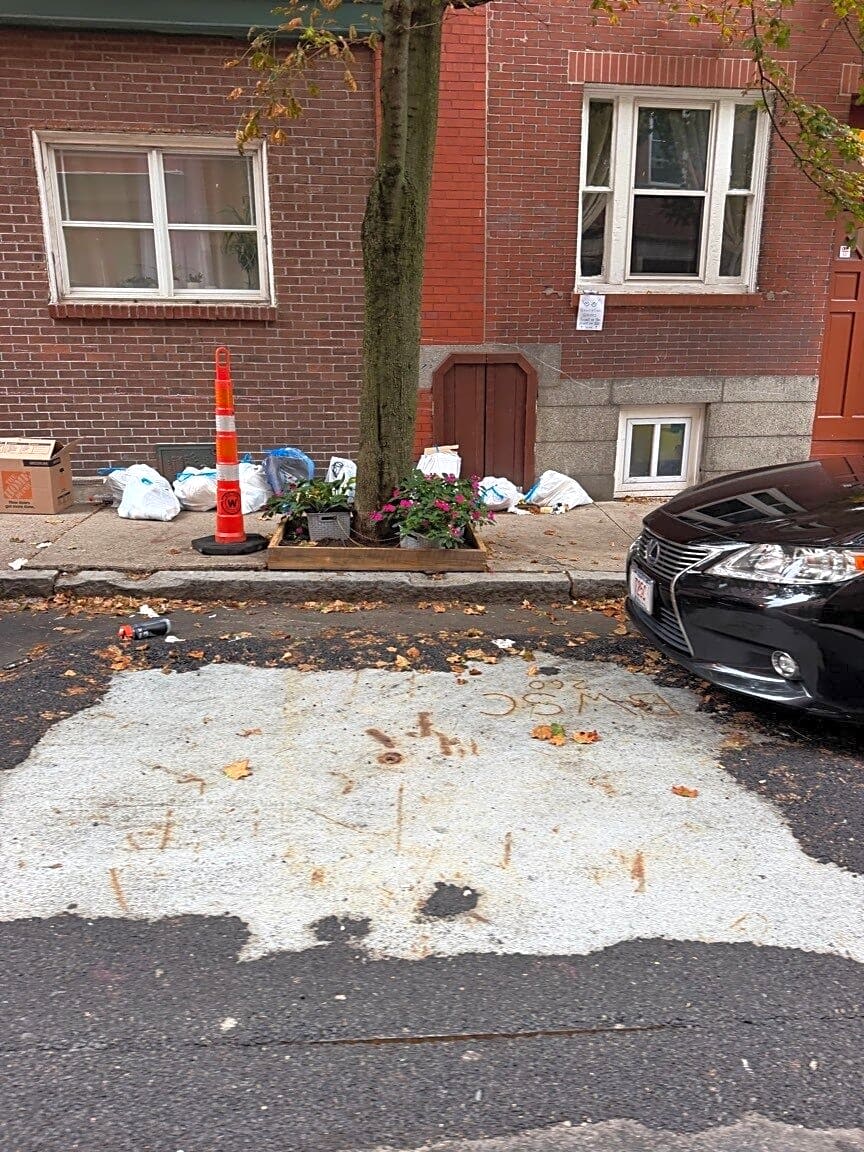 Image submitted with report
