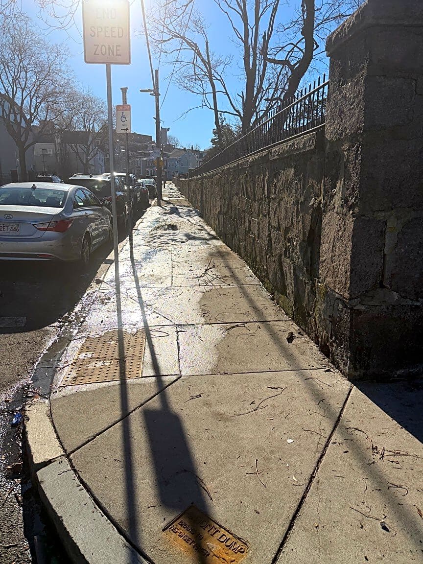 Image submitted with report