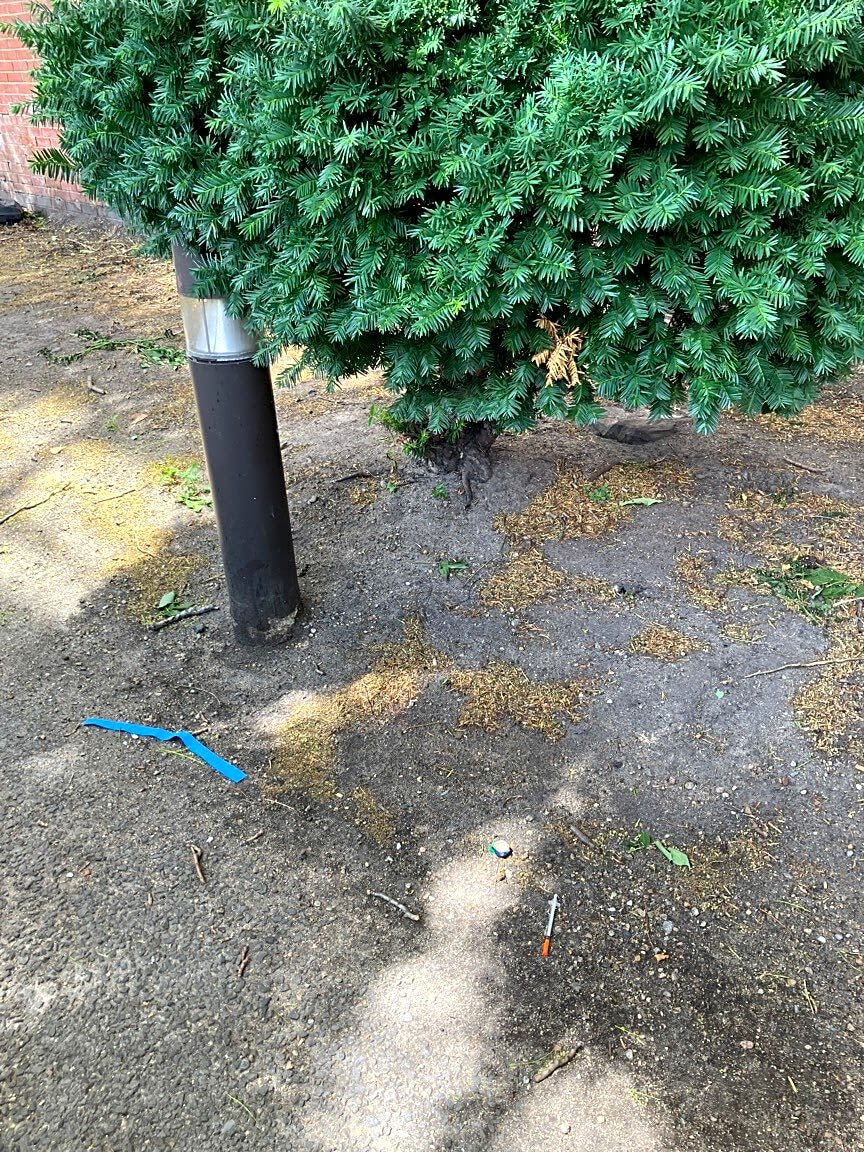 Image submitted with report