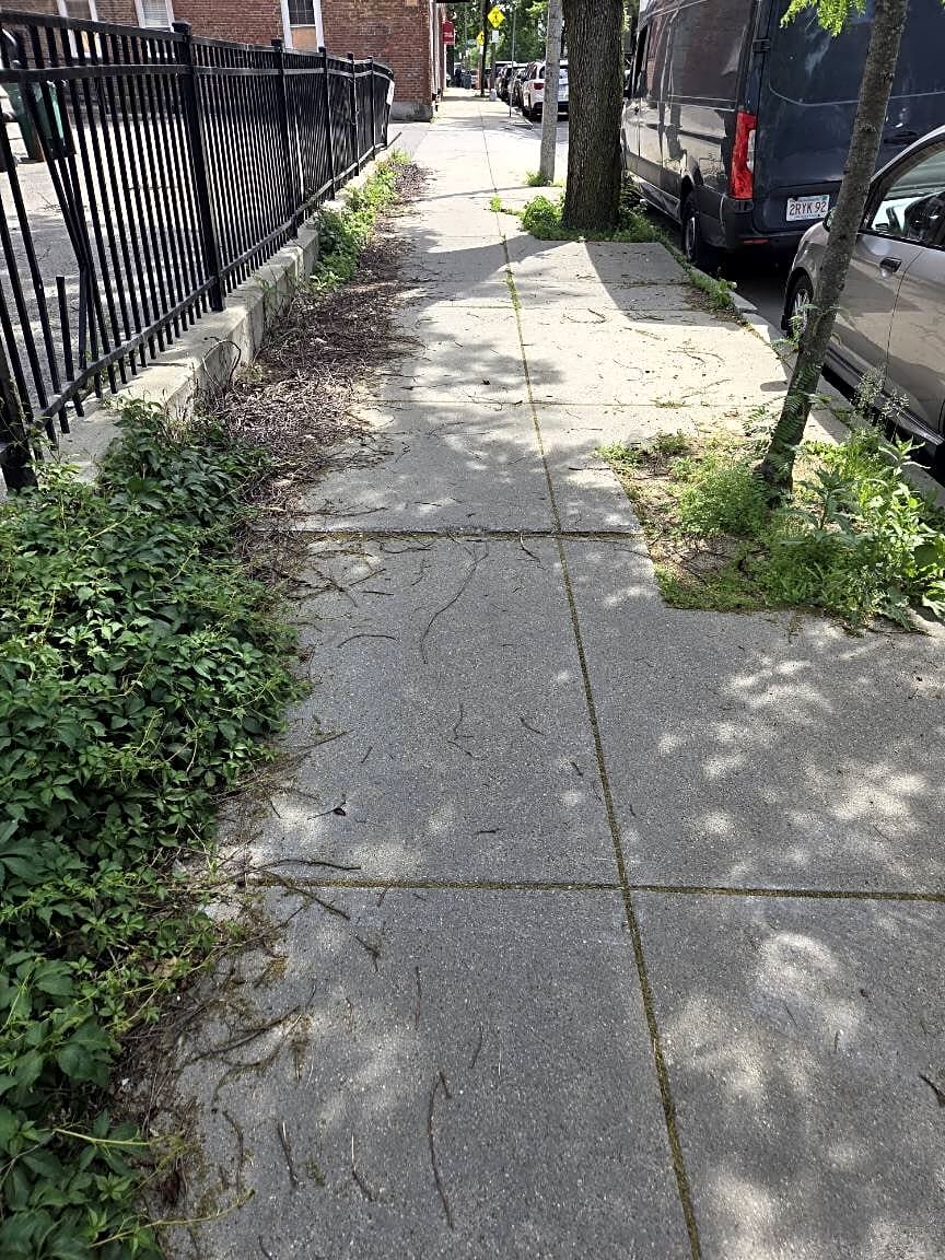 Image submitted with report