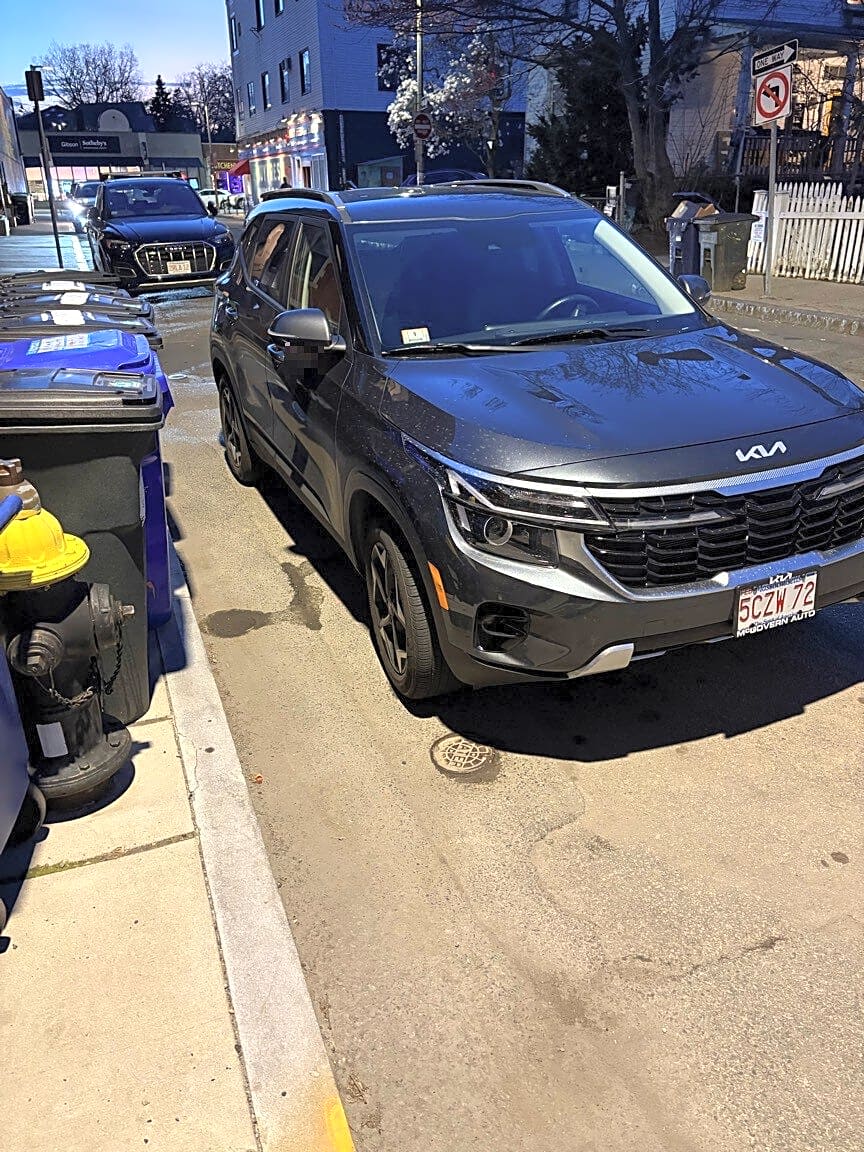 Image submitted with report