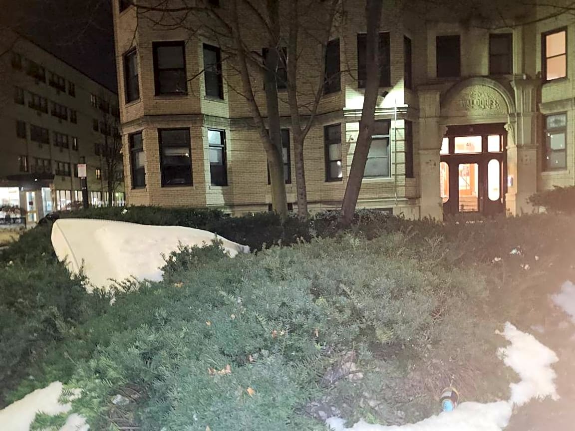 Image submitted with report