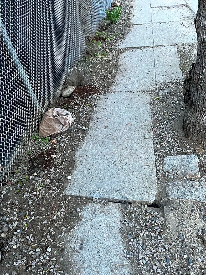 Image submitted with report