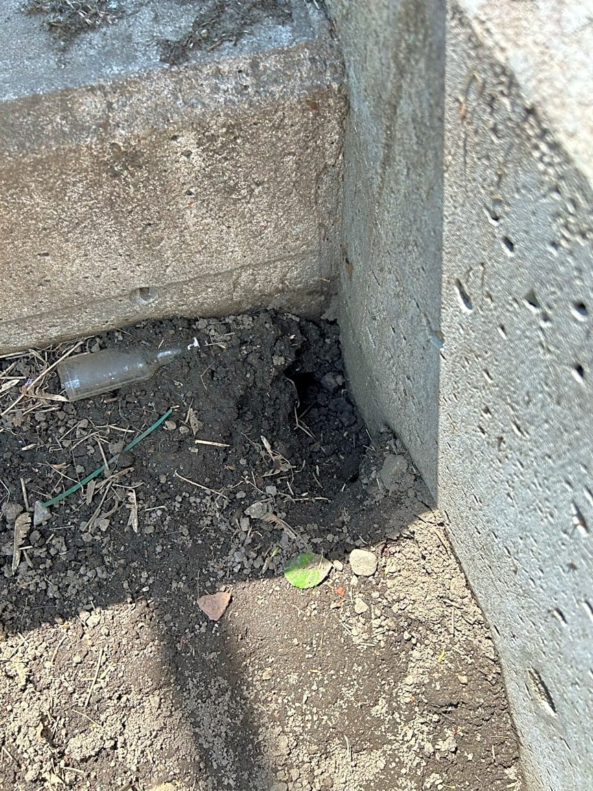 Image submitted with report