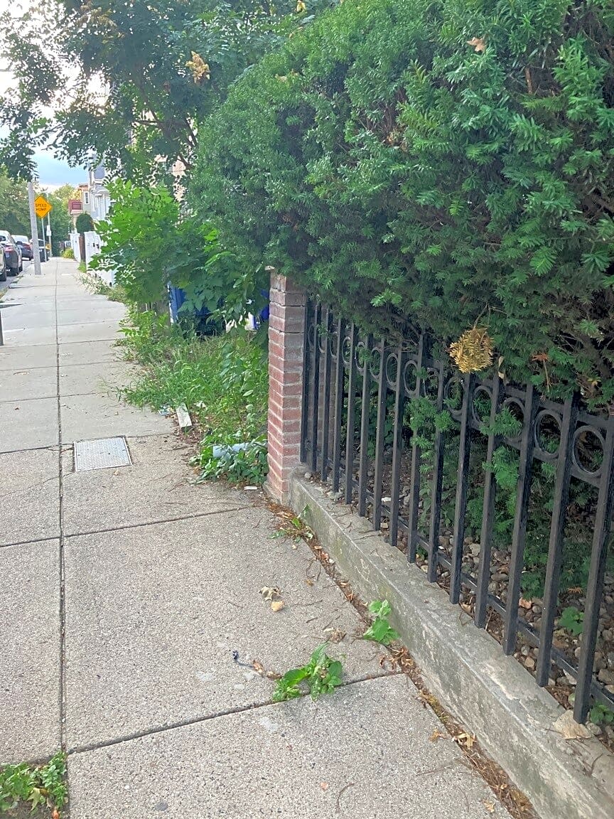 Image submitted with report