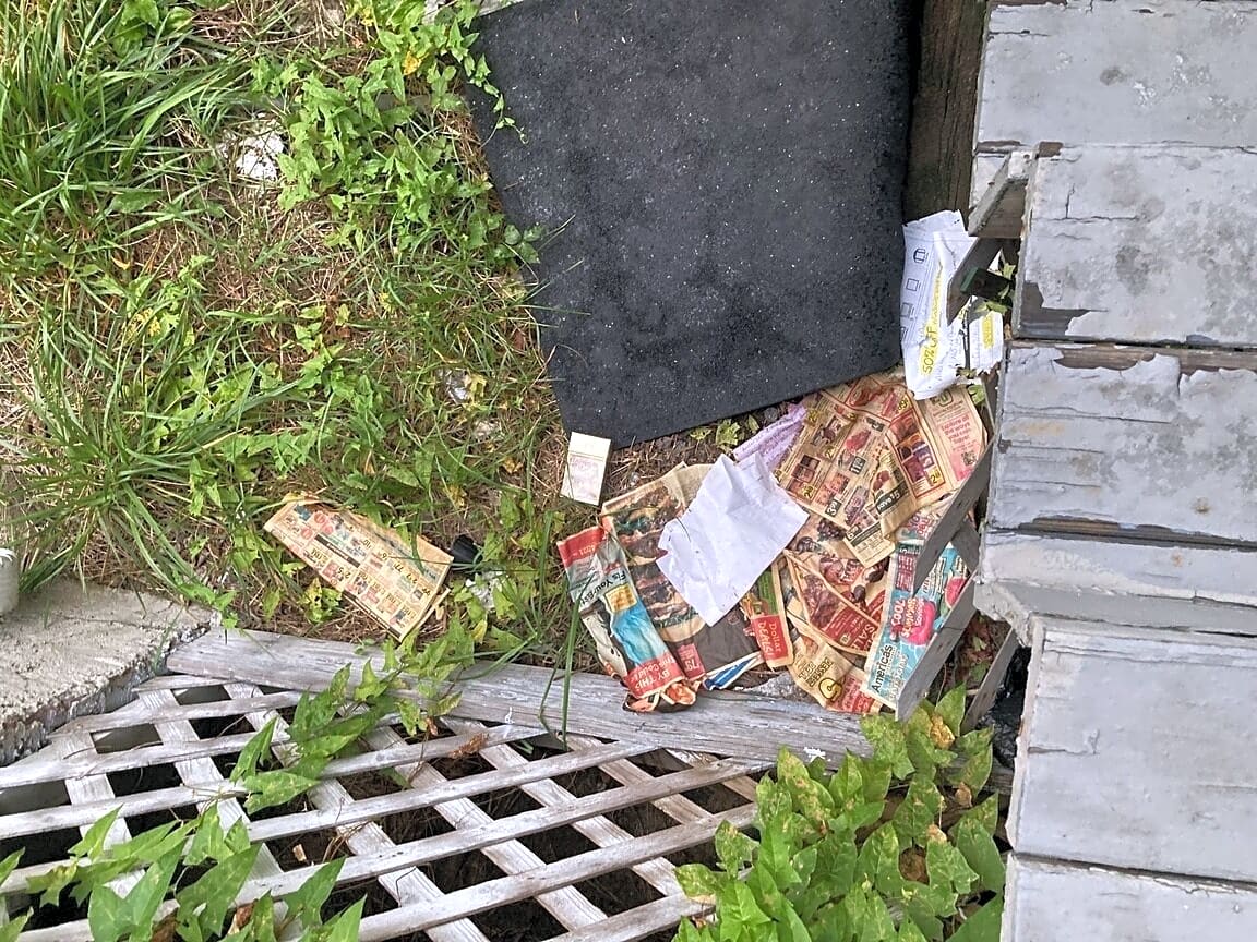 Image submitted with report