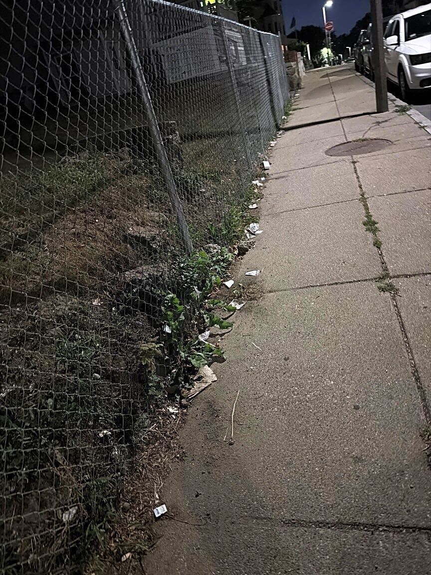 Image submitted with report
