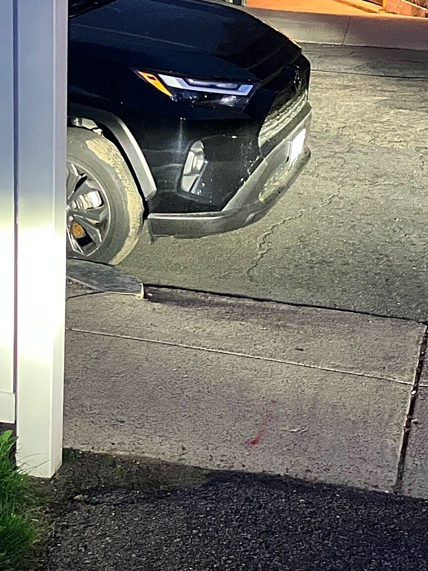 Image submitted with report