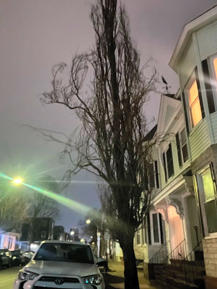 Image submitted with report