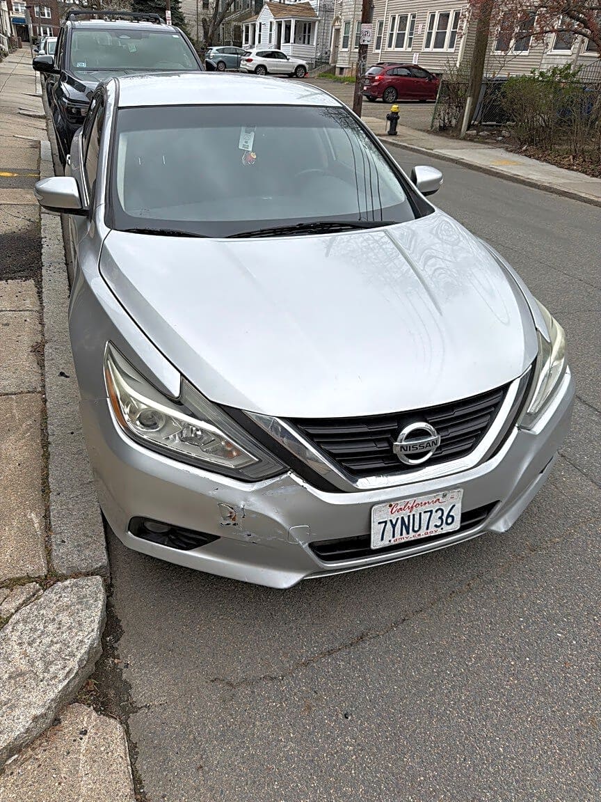 Image submitted with report