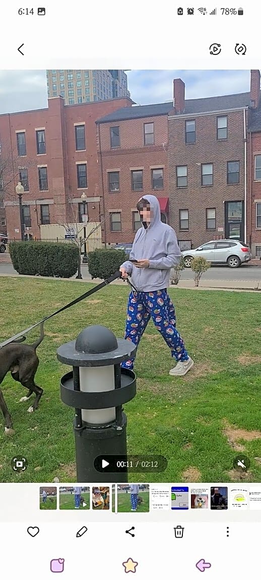 Image submitted with report