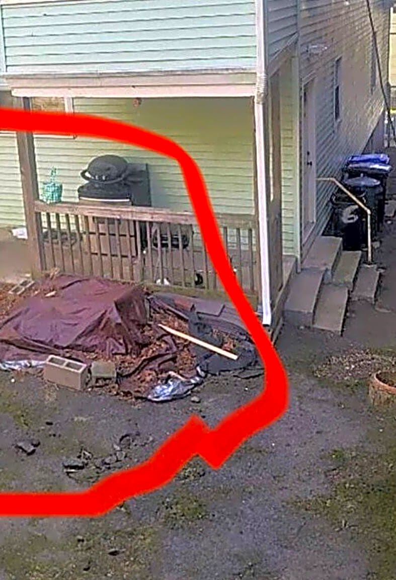 Image submitted with report