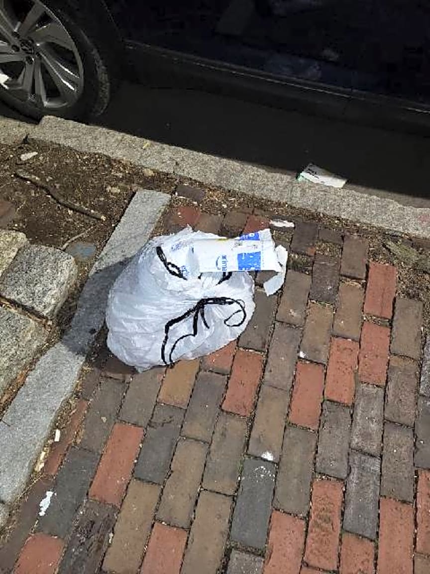 Image submitted with report