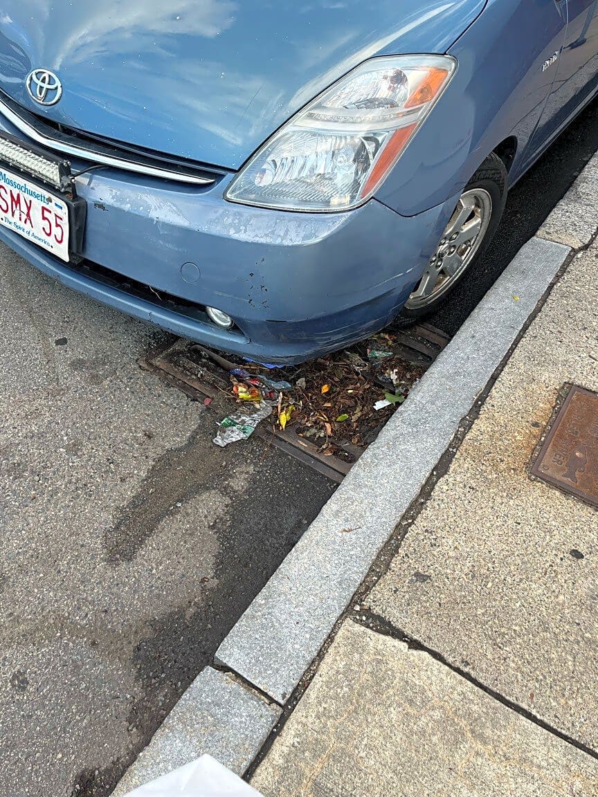 Image submitted with report
