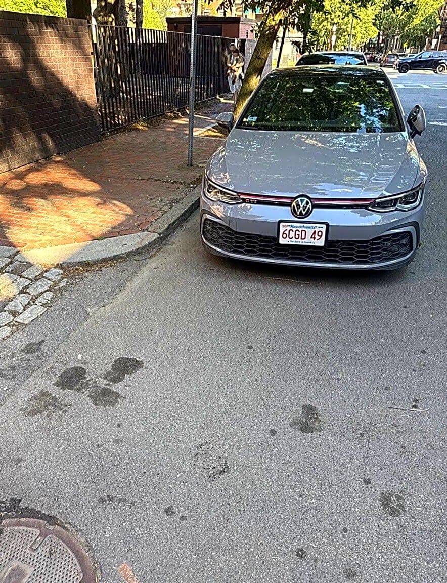 Image submitted with report