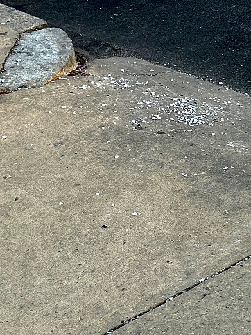 Image submitted with report