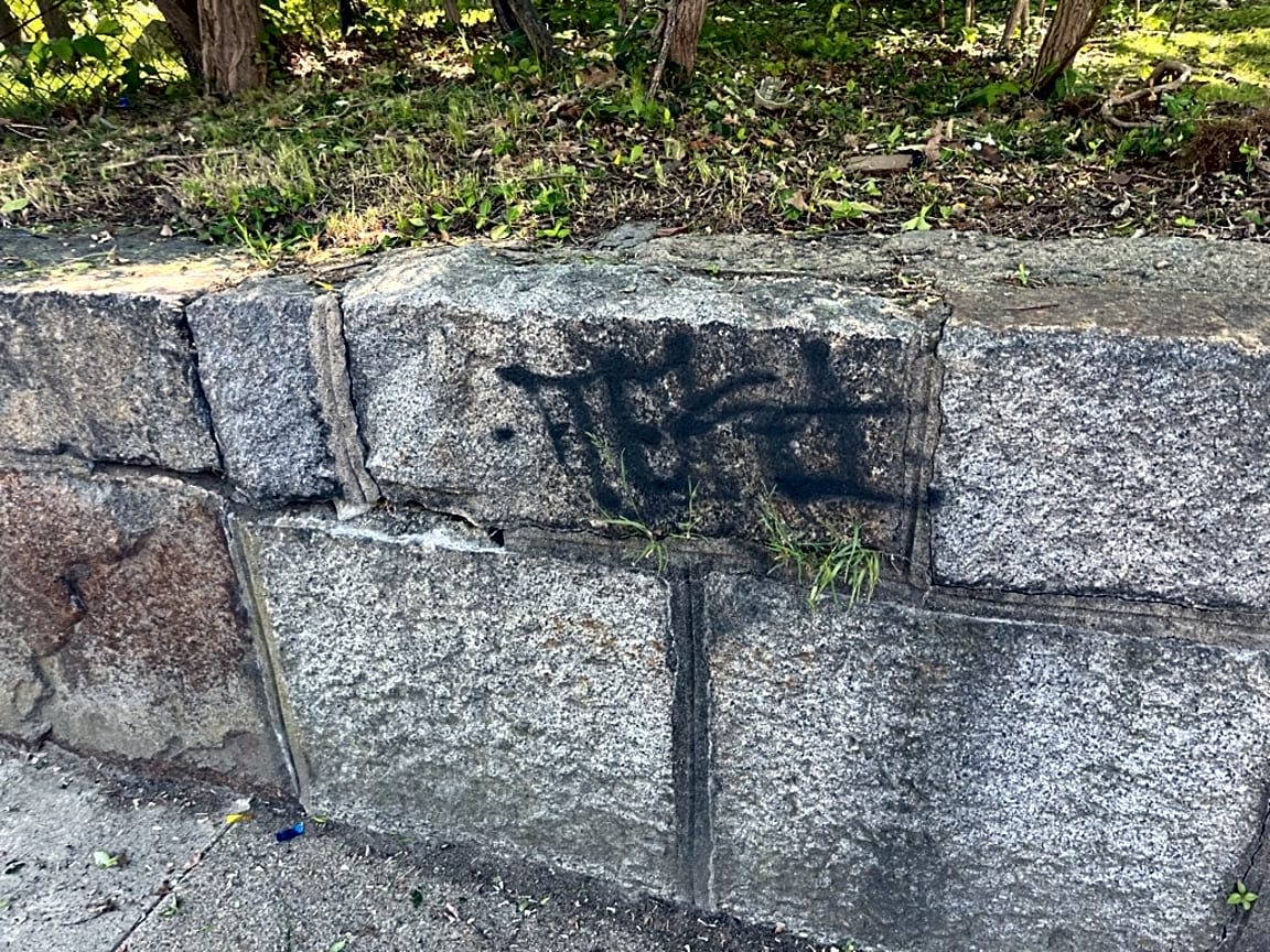 Image submitted with report