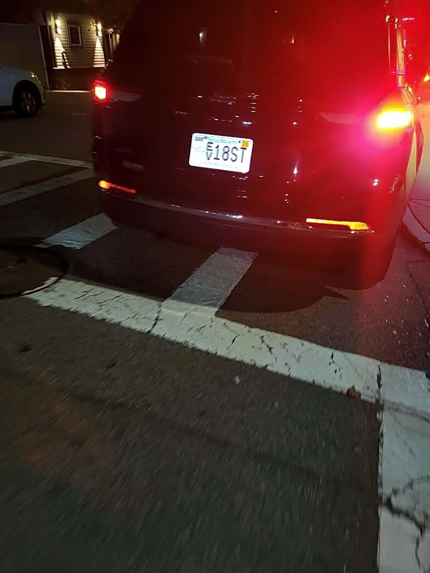 Image submitted with report