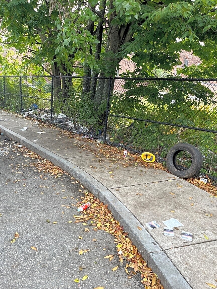 Image submitted with report