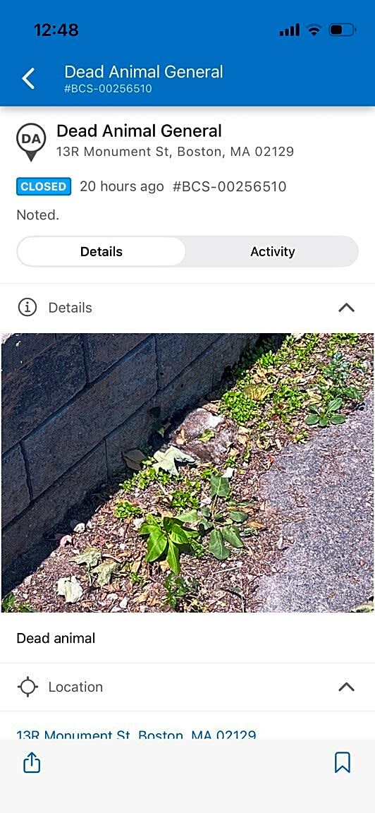 Image submitted with report