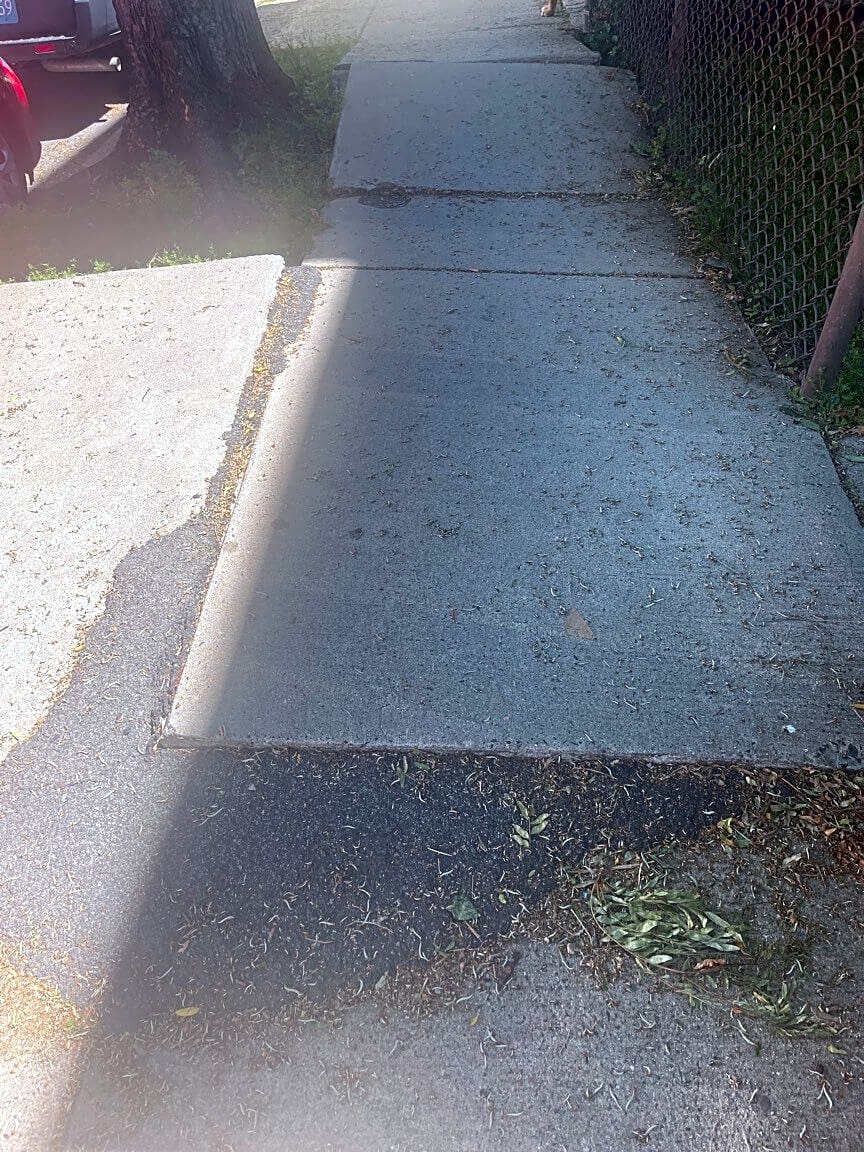 Image submitted with report