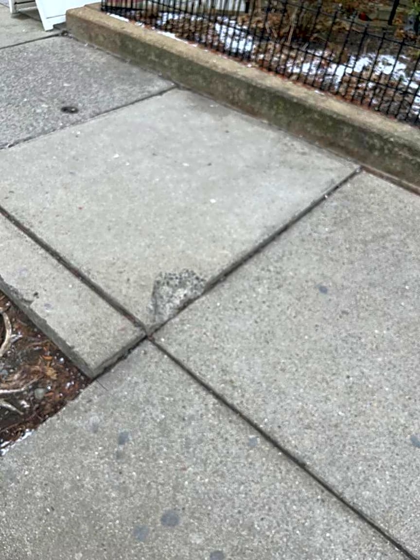 Image submitted with report