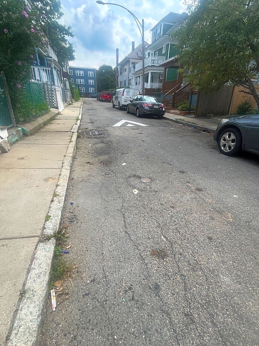Image submitted with report