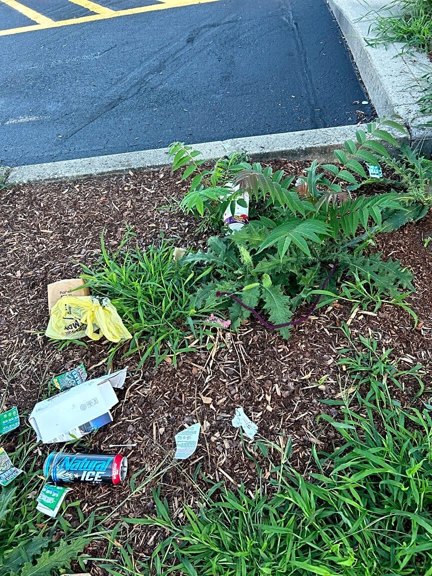 Image submitted with report
