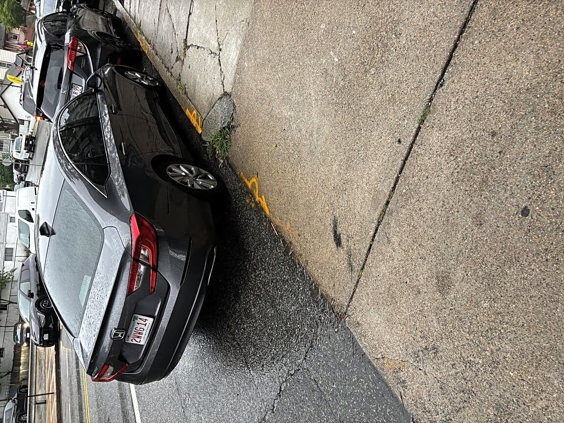 Image submitted with report