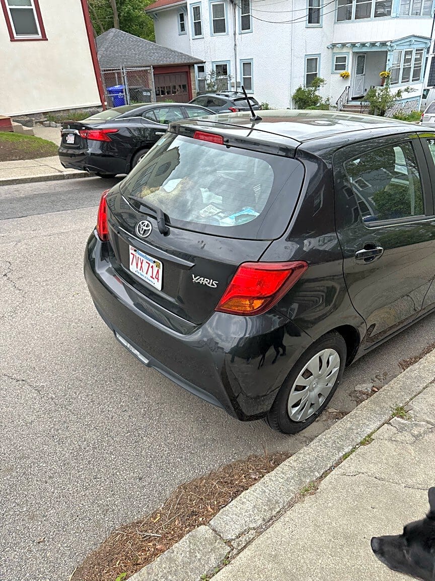 Image submitted with report
