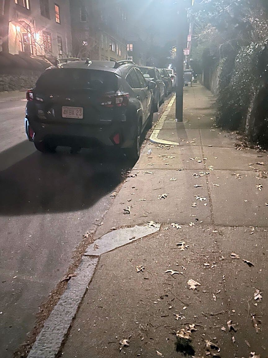 Image submitted with report