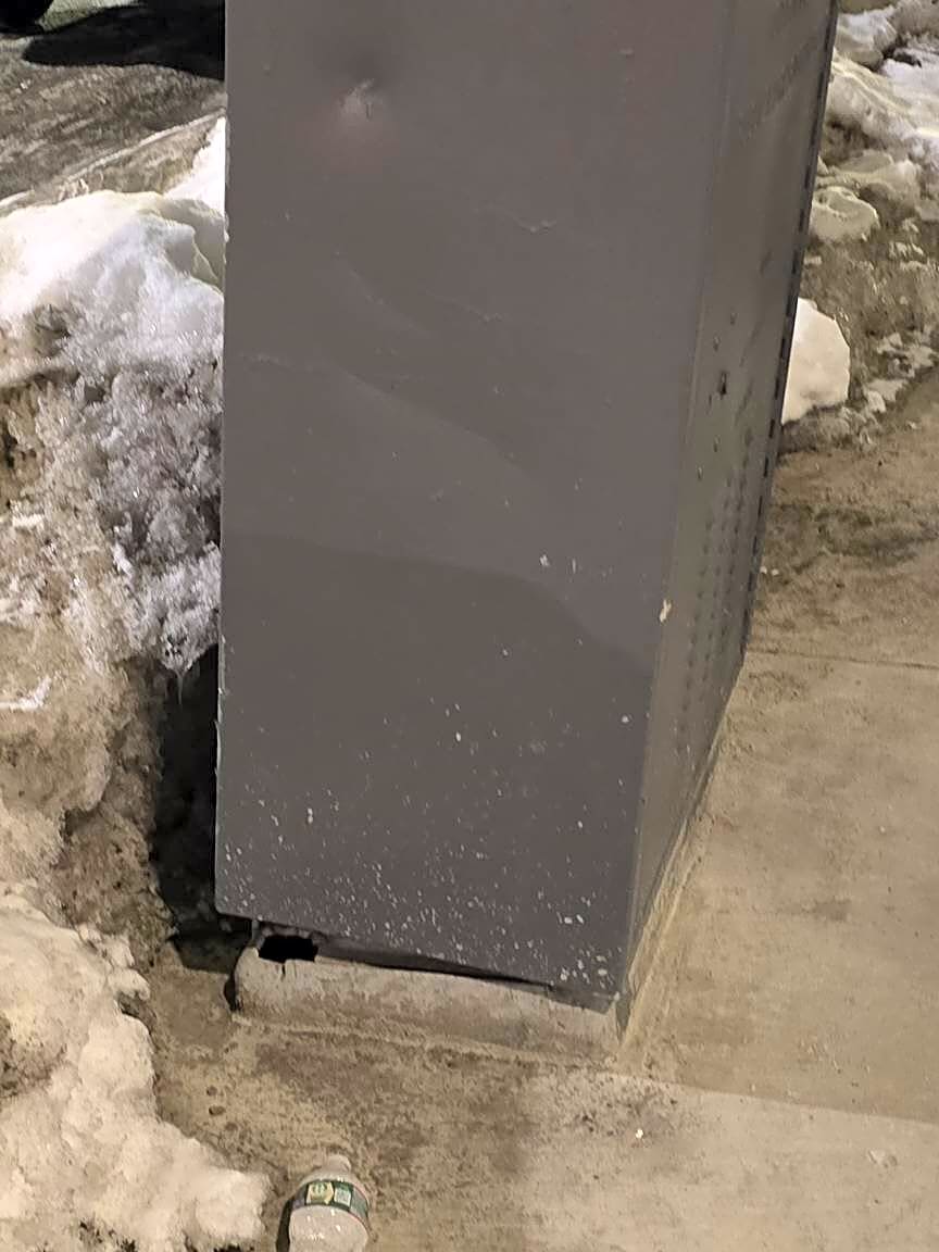 Image submitted with report