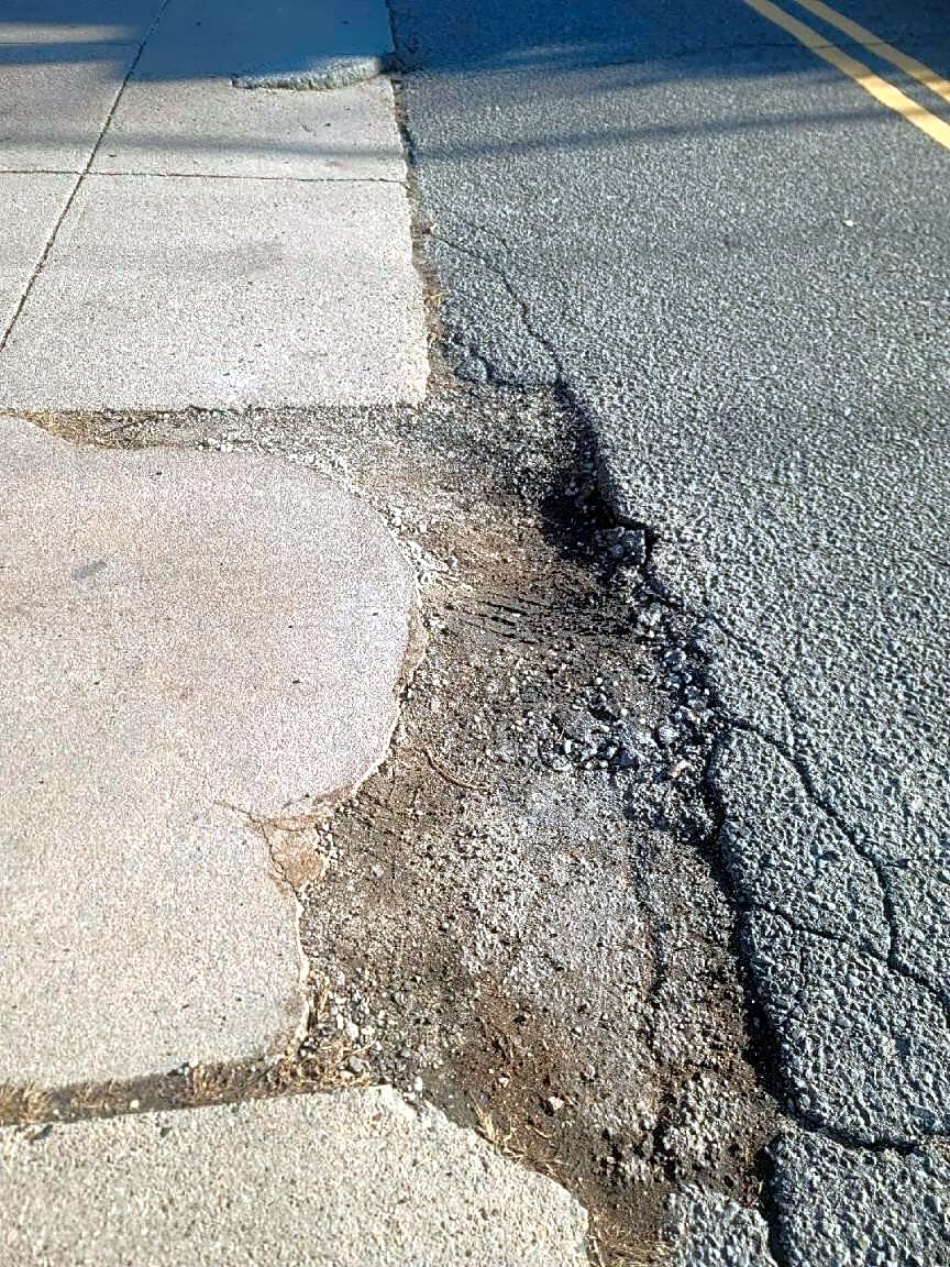 Image submitted with report