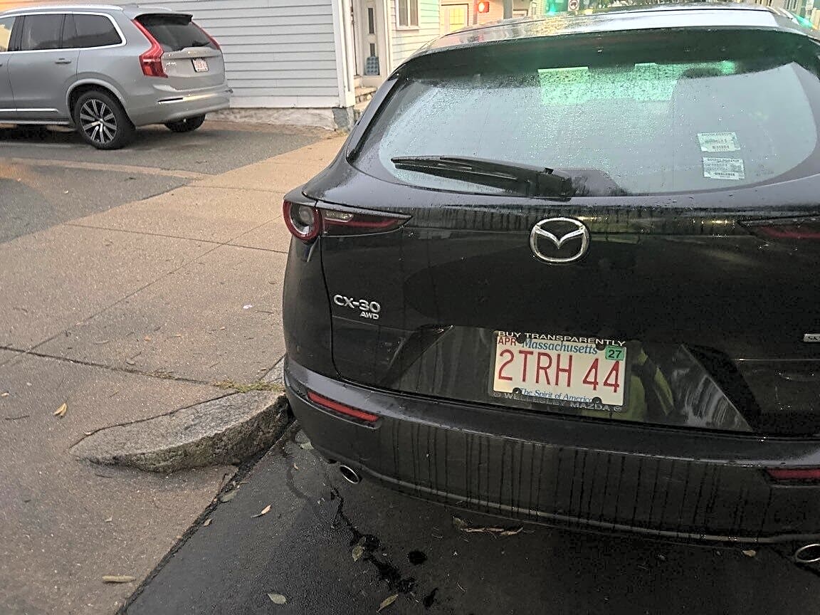 Image submitted with report