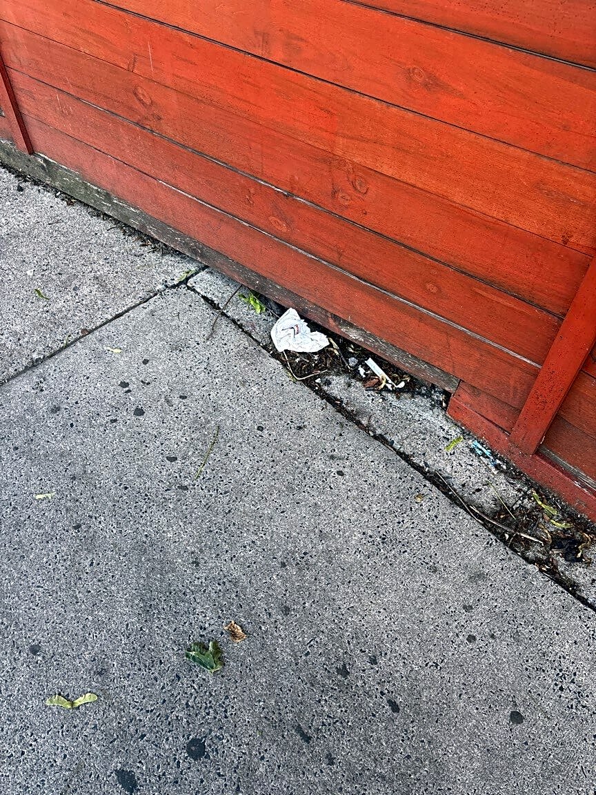 Image submitted with report