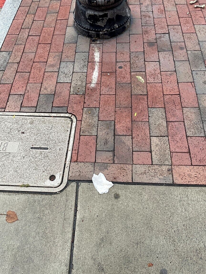 Image submitted with report