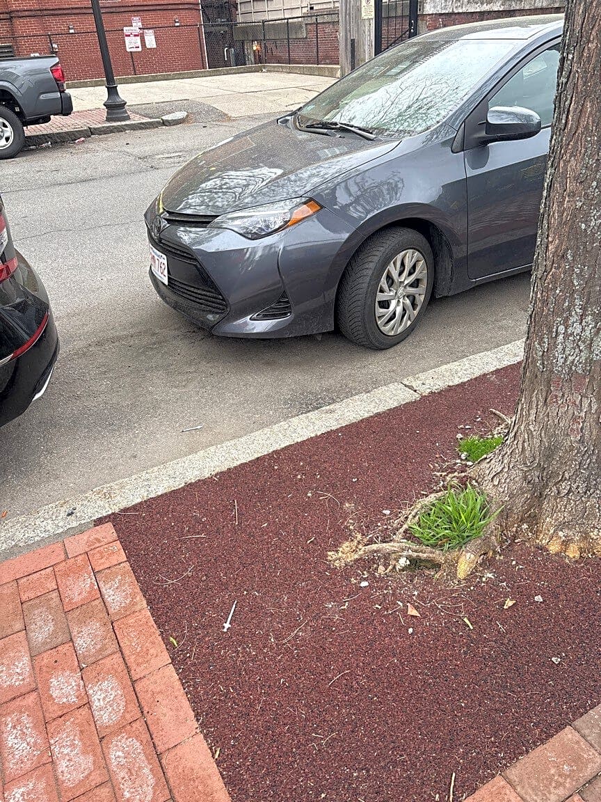 Image submitted with report