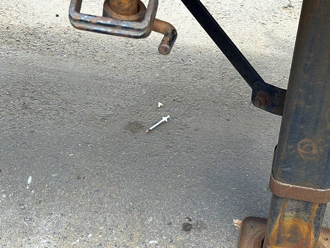 Image submitted with report