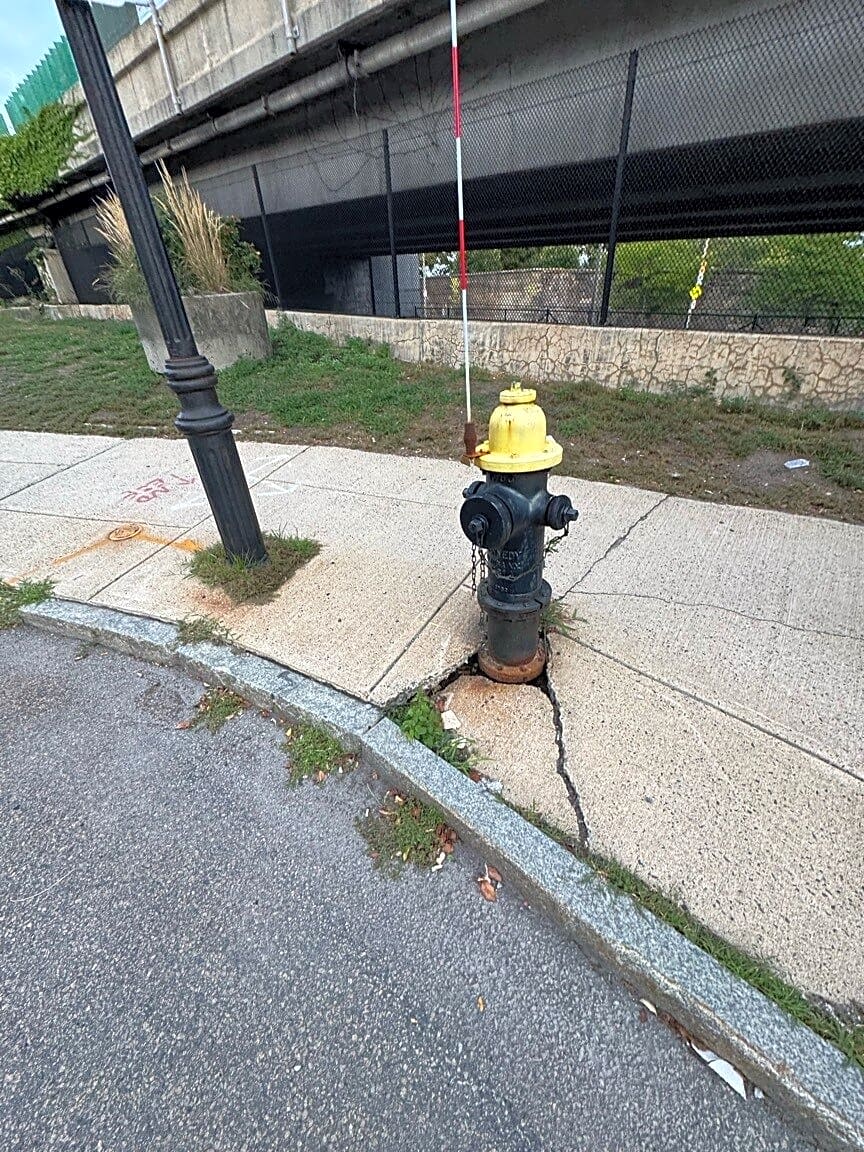 Image submitted with report