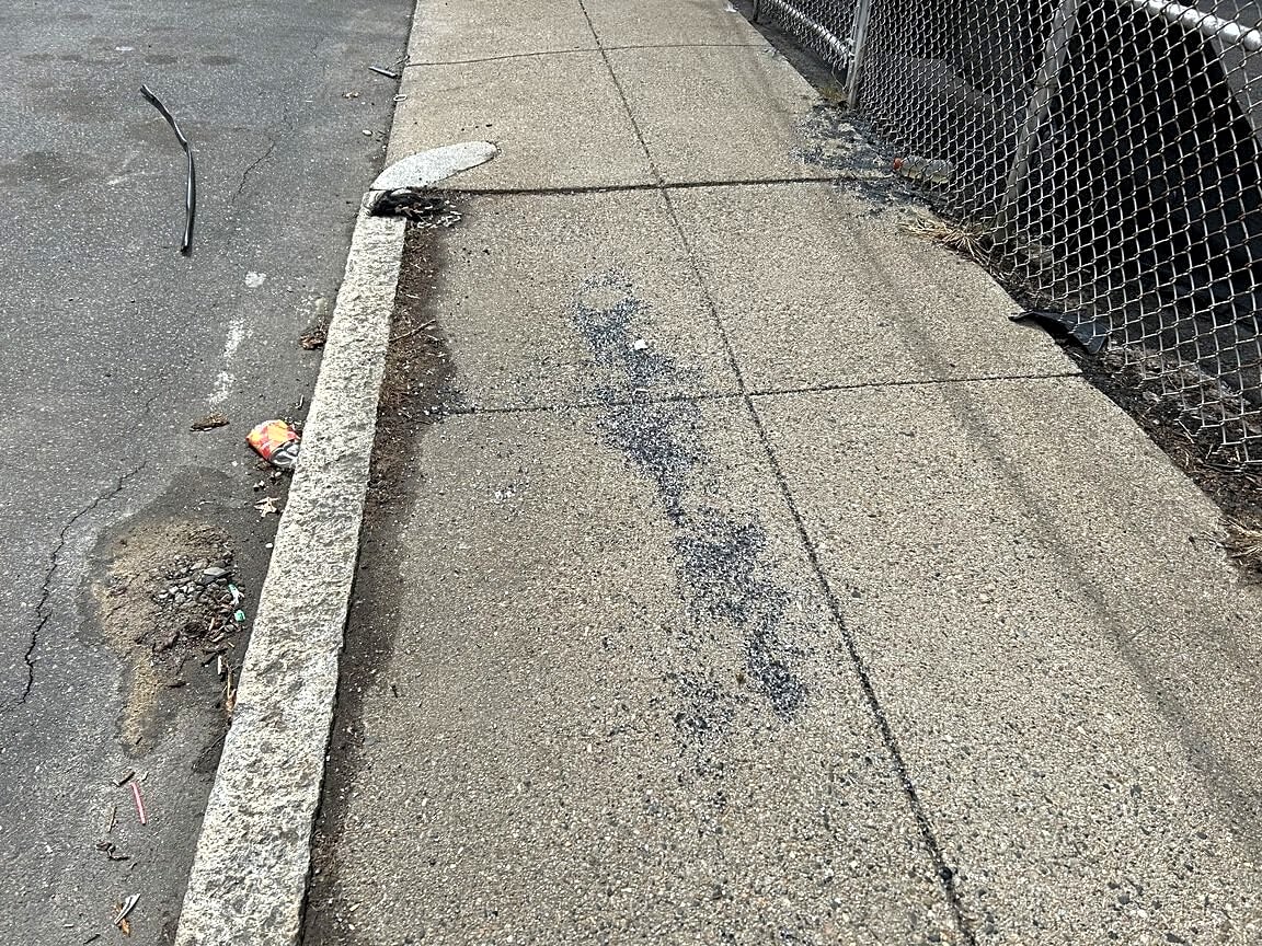 Image submitted with report