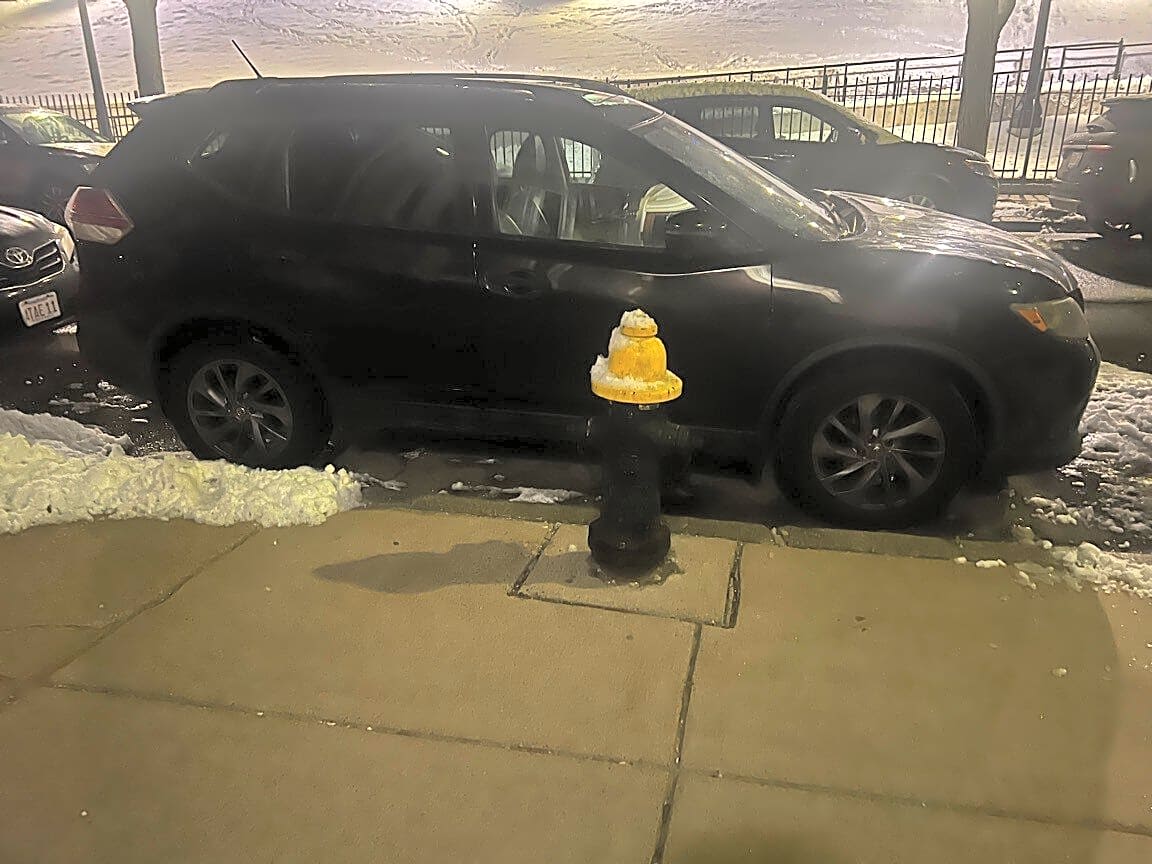 Image submitted with report