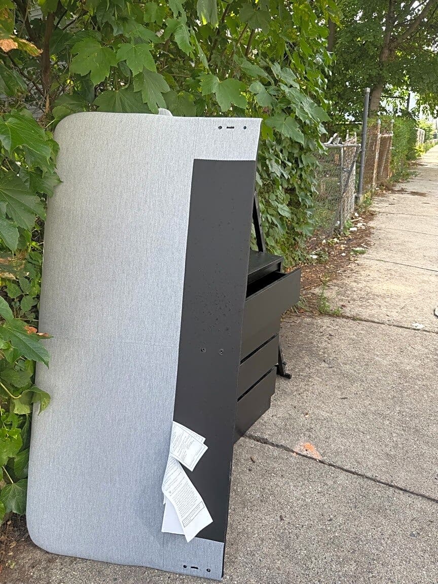 Image submitted with report