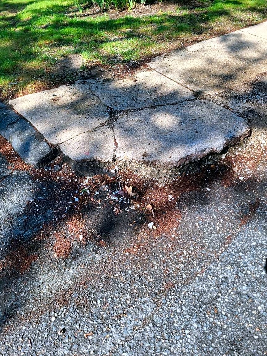 Image submitted with report