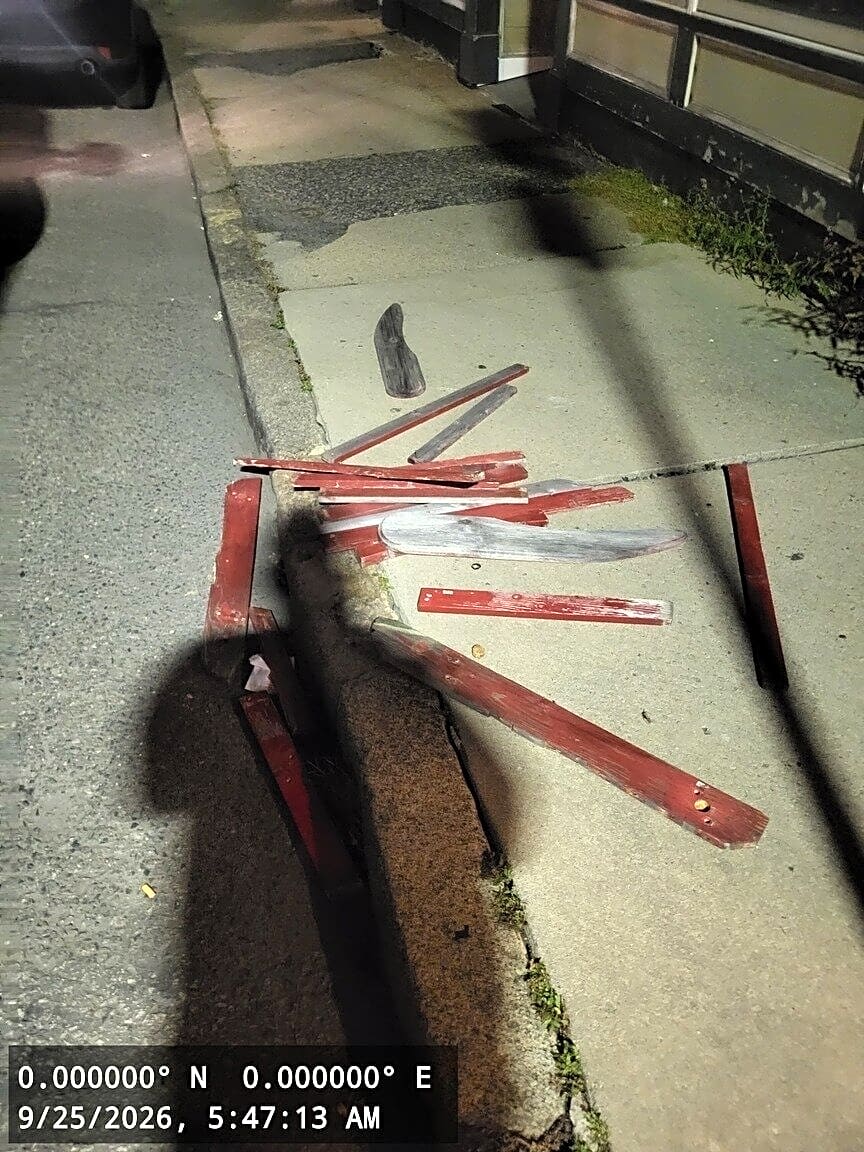Image submitted with report