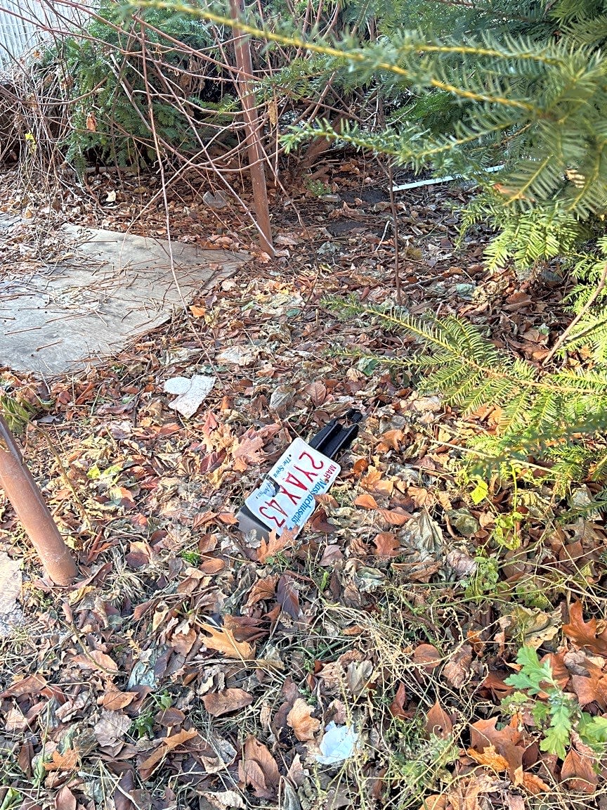 Image submitted with report